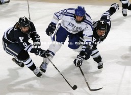 ng娱乐官网-卡特尼亚队壮志凌云，力压对手取胜，卡特亚职业