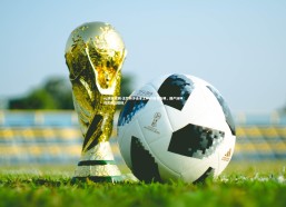 ng娱乐官网-王哲林冲击本土MVP前景光明，国产汤神成其绝佳搭档