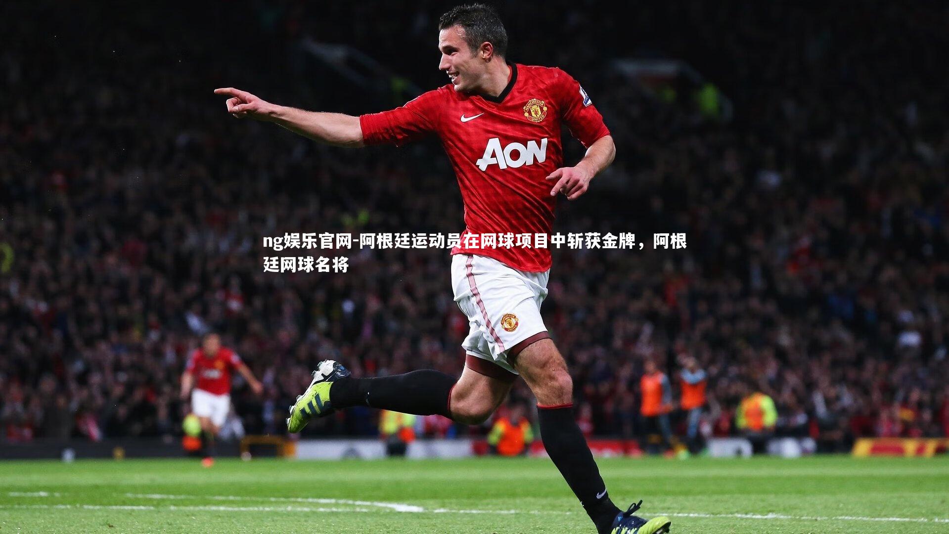 阿根廷运动员在网球项目中斩获金牌,阿根廷网球名将